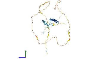 AlphaFold protein structure predicition of Human Recombinant CCDC86 Protein, UniprotID Q9H6F5