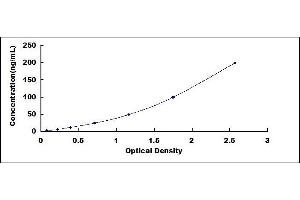 Typical standard curve
