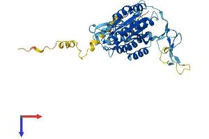 AlphaFold protein structure predicition of Human Recombinant GTF2H2C, Protein, UniprotID Q6P1K8