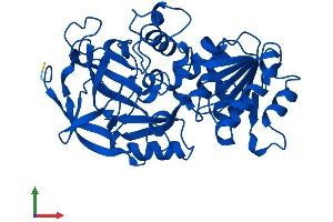 AlphaFold protein structure predicition of Mouse Recombinant Adh4 Protein, UniprotID Q9QYY9