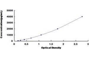 Fibrinogen Degradation Product (FDP) ELISA Kit