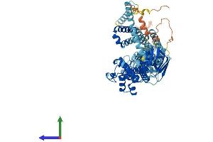 AlphaFold protein structure predicition of Mouse Recombinant Abcd2 Protein, UniprotID Q61285