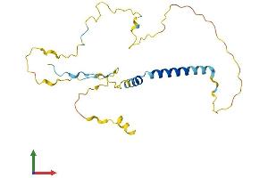 AlphaFold protein structure predicition of Mouse Recombinant Tp53inp2 Protein, UniprotID Q8CFU8