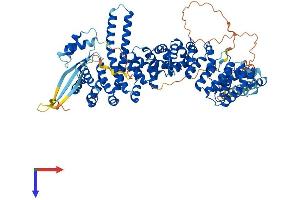 AlphaFold protein structure predicition of Mouse Recombinant Kifap3 Protein, UniprotID P70188