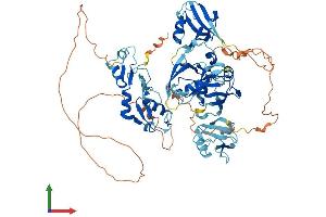 AlphaFold protein structure predicition of Human Recombinant LNX1 Protein, UniprotID Q8TBB1