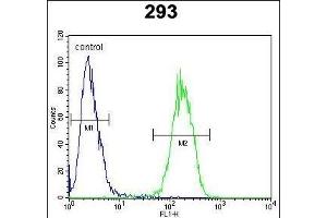 IL17F Antibody (N-term) (ABIN654914 and ABIN2844560) flow cytometric analysis of 293 cells (right histogram) compared to a negative control cell (left histogram). (IL17F anticorps  (N-Term))