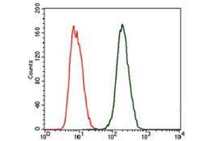 Flow cytometric analysis of MCF-7 cells using CRP mouse mAb (green) and negative control (red). (CRP anticorps)