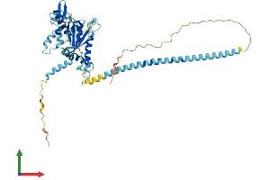 AlphaFold protein structure predicition of Mouse Recombinant Septin10 Protein, UniprotID Q8C650