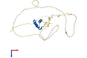 AlphaFold protein structure predicition of Human Recombinant HOXA1 Protein, UniprotID P49639