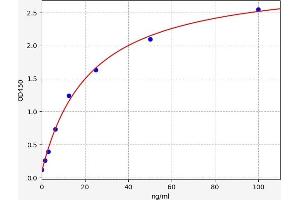 Granulin (GRN) ELISA Kit