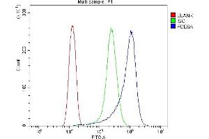 Flow Cytometry analysis of HELA cells using anti-PDE6 alpha/PDE6A antibody (ABIN7599710). (PDE6A anticorps  (AA 11-237))