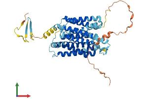 AlphaFold protein structure predicition of Mouse Recombinant Nipal4 Protein, UniprotID Q8BZF2