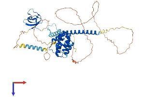 AlphaFold protein structure predicition of Human Recombinant STAM2 Protein, UniprotID O75886