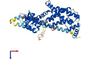 AlphaFold protein structure predicition of Human Recombinant RASGEF1B Protein, UniprotID Q0VAM2