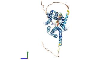 AlphaFold protein structure predicition of Human Recombinant SLC19A3 Protein, UniprotID Q9BZV2