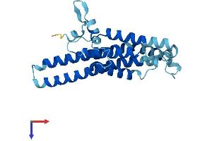 AlphaFold protein structure predicition of Human Recombinant MT-ATP6 Protein, UniprotID P00846