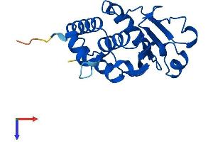 AlphaFold protein structure predicition of Human Recombinant DUSP3 Protein, UniprotID P51452