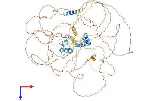 AlphaFold protein structure predicition of Human Recombinant ZNF281 Protein, UniprotID Q9Y2X9