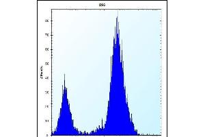 DDIT4 Antibody (C-term) (ABIN652188 and ABIN2840691) flow cytometric analysis of 293 cells (right histogram) compared to a negative control cell (left histogram).