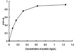 Image no. 2 for FER Tyrosine Kinase (FER) (AA 1-822) (Active) protein (GST tag) (ABIN5569732)
