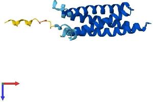 AlphaFold protein structure predicition of Human Recombinant MALL Protein, UniprotID Q13021