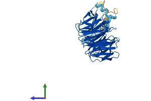 AlphaFold protein structure predicition of Human Recombinant PAFAH1B1 Protein, UniprotID P43034