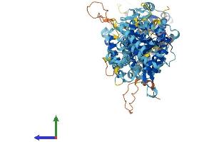 AlphaFold protein structure predicition of Mouse Recombinant Slc12a9 Protein, UniprotID Q99MR3