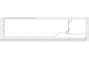 Parathyroid Hormone (PTH) peptide (Ovalbumin)