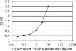 PPP1R2P3 (Human) Matched Antibody Pair