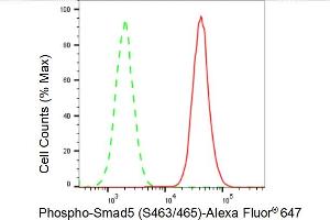 Flow cytometric analysis of Phospho-Smad5 (S463/465) expression in HAP-1 cells using Phospho-Smad5 (S463/465) antibody (ABIN7800375), 1:2,000). (Recombinant SMAD5 anticorps  (pSer463))