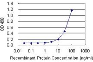 HMGB1 (Human) Matched Antibody Pair