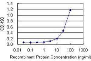 Sandwich ELISA detection sensitivity ranging from 3 ng/mL to 100 ng/mL. (HMGB1 (Humain) Matched Antibody Pair)