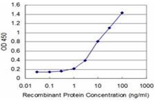 Detection limit for recombinant GST tagged HOXA5 is approximately 0. (HOXA5 anticorps  (AA 171-270))