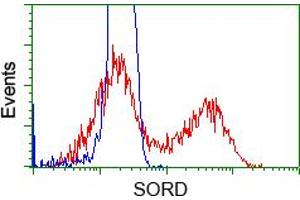 HEK293T cells transfected with either pCMV6-ENTRY SORD (RC200415) (Red) or empty vector control plasmid (Blue) were immunostained with anti-SORD mouse monoclonal (ABIN2453674), and then analyzed by flow cytometry. (SORD anticorps)