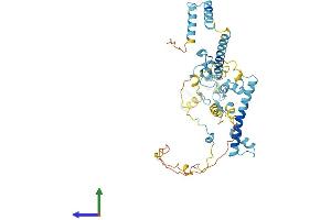 AlphaFold protein structure predicition of Human Recombinant ZC3H15 Protein, UniprotID Q8WU90
