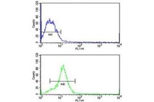 HMGA1 antibody flow cytometric analysis of MCF-7 cells (green) compared to a negative control (blue).