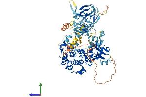 AlphaFold protein structure predicition of Human Recombinant PRKCQ Protein, UniprotID Q04759