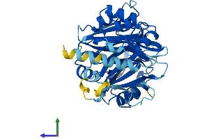 AlphaFold protein structure predicition of Mouse Recombinant Hpdl Protein, UniprotID Q8K248