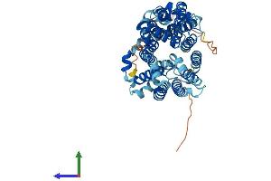 AlphaFold protein structure predicition of Human Recombinant SLC2A9 Protein, UniprotID Q9NRM0