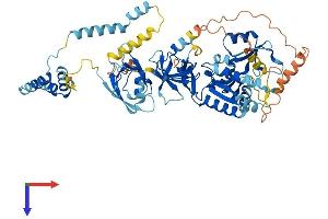 AlphaFold protein structure predicition of Human Recombinant MPP4 Protein, UniprotID Q96JB8