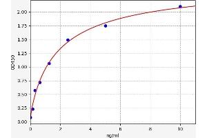 Interleukin 18 Binding Protein (IL18BP) ELISA Kit