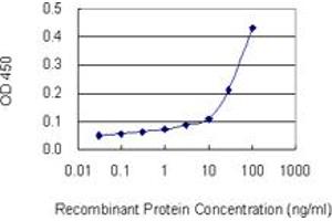 Detection limit for recombinant GST tagged HLA-DPB1 is 10 ng/ml as a capture antibody. (HLA-DPB1 anticorps  (AA 1-258))