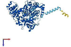 AlphaFold protein structure predicition of Mouse Recombinant Acsl5 Protein, UniprotID Q8JZR0
