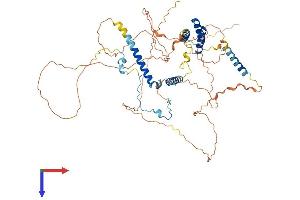 AlphaFold protein structure predicition of Human Recombinant SPATA7 Protein, UniprotID Q9P0W8