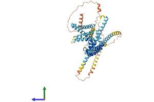 AlphaFold protein structure predicition of Human Recombinant CATSPER4 Protein, UniprotID Q7RTX7