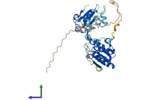 AlphaFold protein structure predicition of Human Recombinant DUSP5 Protein, UniprotID Q16690
