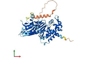 AlphaFold protein structure predicition of Human Recombinant DENND2D Protein, UniprotID Q9H6A0