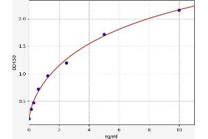 Typical standard curve (Reticulon 3 Kit ELISA)