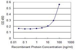 anti-Arrestin 3, Retinal (X-Arrestin) (ARR3) (AA 1-359) antibody