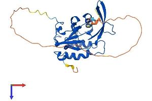 AlphaFold protein structure predicition of Mouse Recombinant Ctdsp1 Protein, UniprotID P58466